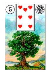 card-9