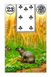 card-15